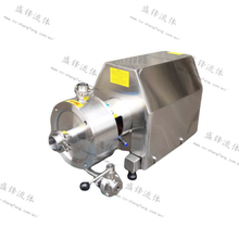 Load image into Gallery viewer, ShengFeng Pumps