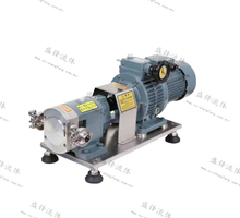 Load image into Gallery viewer, ShengFeng Pumps