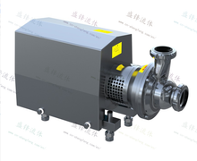 Load image into Gallery viewer, ShengFeng Pumps