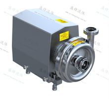 Load image into Gallery viewer, ShengFeng Pumps